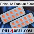 Rhino 12 Titanium 6000 27